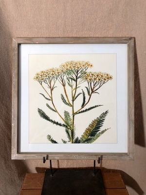Framed Flower Print Under Glass III 16&quot; x 16.5&quot;