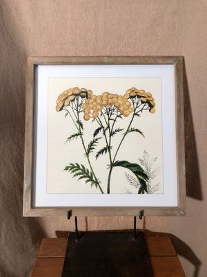 Framed Flower Print Under Glass I 16&quot; x 16.5&quot;