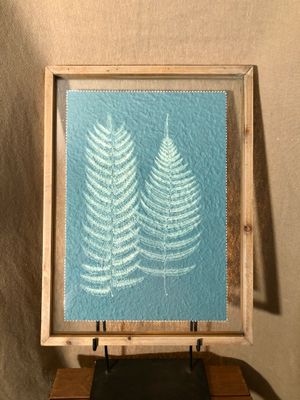 Fern Print Under Glass II