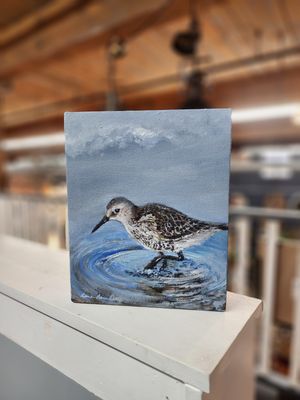 Sandpiper on Beach - 8.25&quot; x 10&quot;T