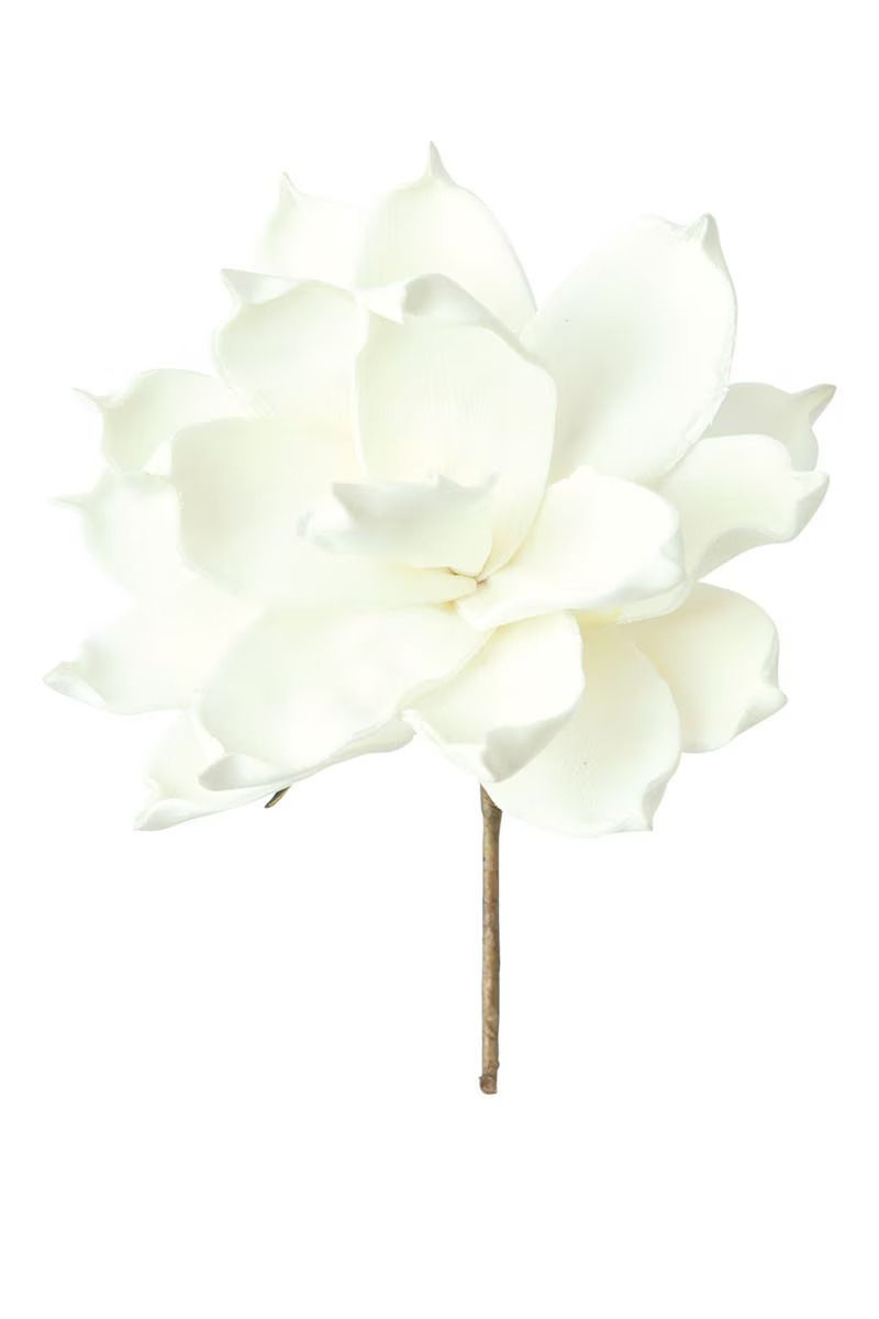 Botanica #1124