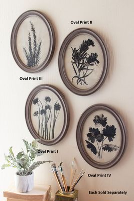 Oval Botanical Print Under Glass I