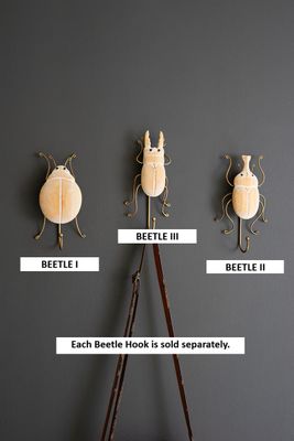 Carved Wood &amp; Wire Beetle Wall Hook II