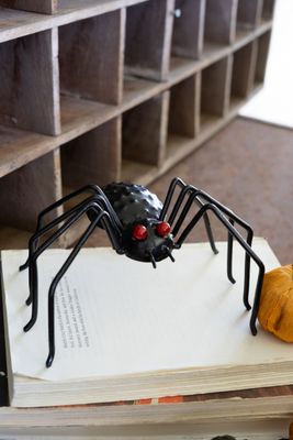 Painted Metal Halloween Spider Lg