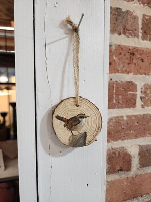 Tree Slice Ornament - Bird - 2.5&quot;