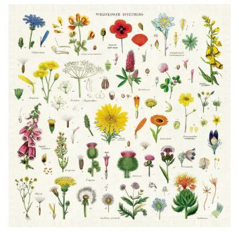 Wildflowers Napkin - Set of 4