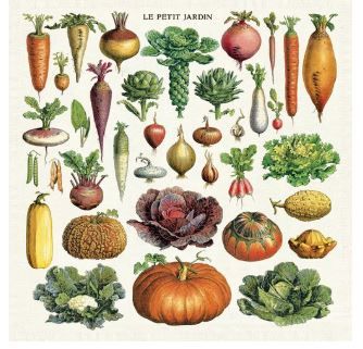 Jardin Napkin - Set of 4