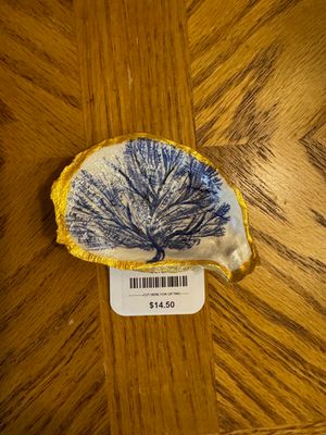 Oyster Shell - Coral