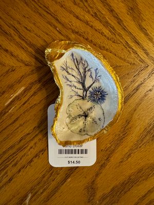 Oyster Shell - Sand Dollar