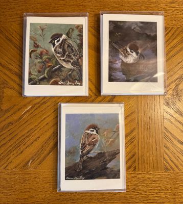Set/6 Cards w/Envelopes