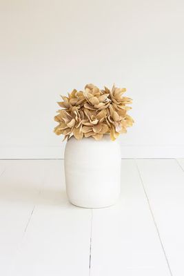 Botanica #3533