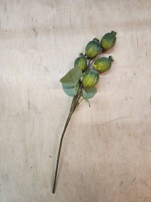 Botanica #3547