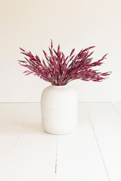 Botanica #3561