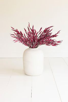 Botanica #3561