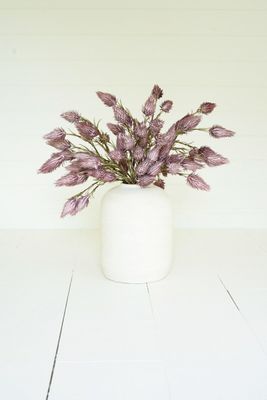 Botanica #2687