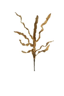 Botanica #2741