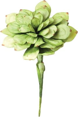 Botanica CLX1150