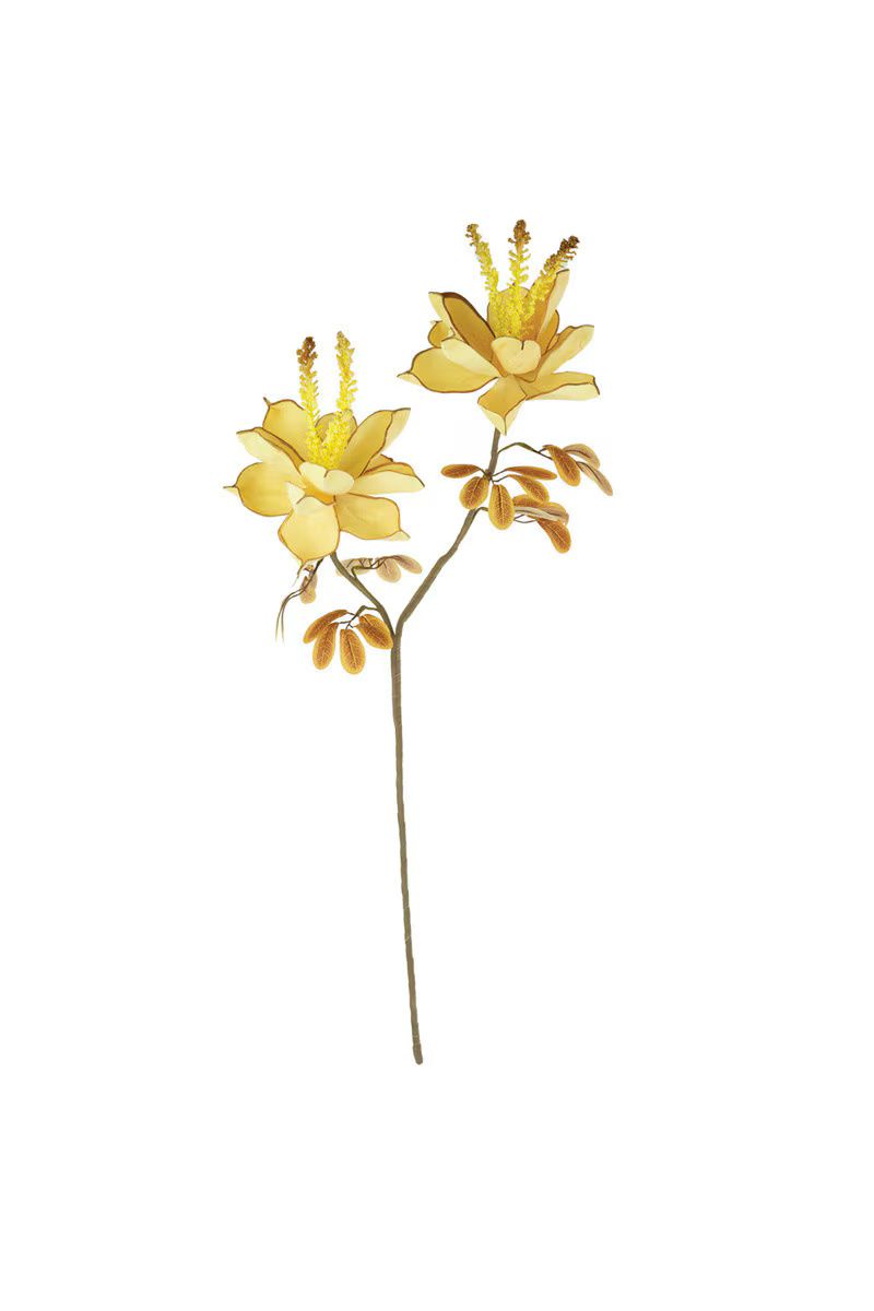 Botanica #3556