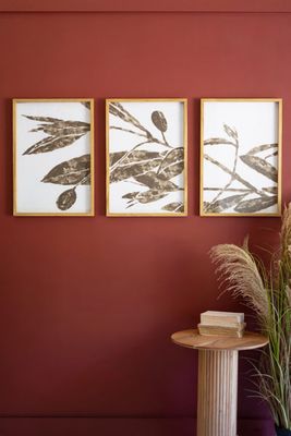 Olive Branch Triptych Prints Under Glass S/3