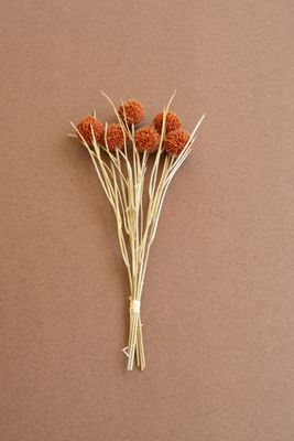 Bundle of 6 Artificial Ball Flowers - Orange
