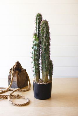 Artificial Cactus in a Black Plastic Pot w/Five Stems