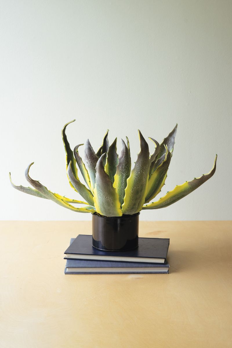 Botanica #3525 Potted Agave
