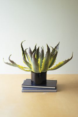 Botanica #3525 Potted Agave