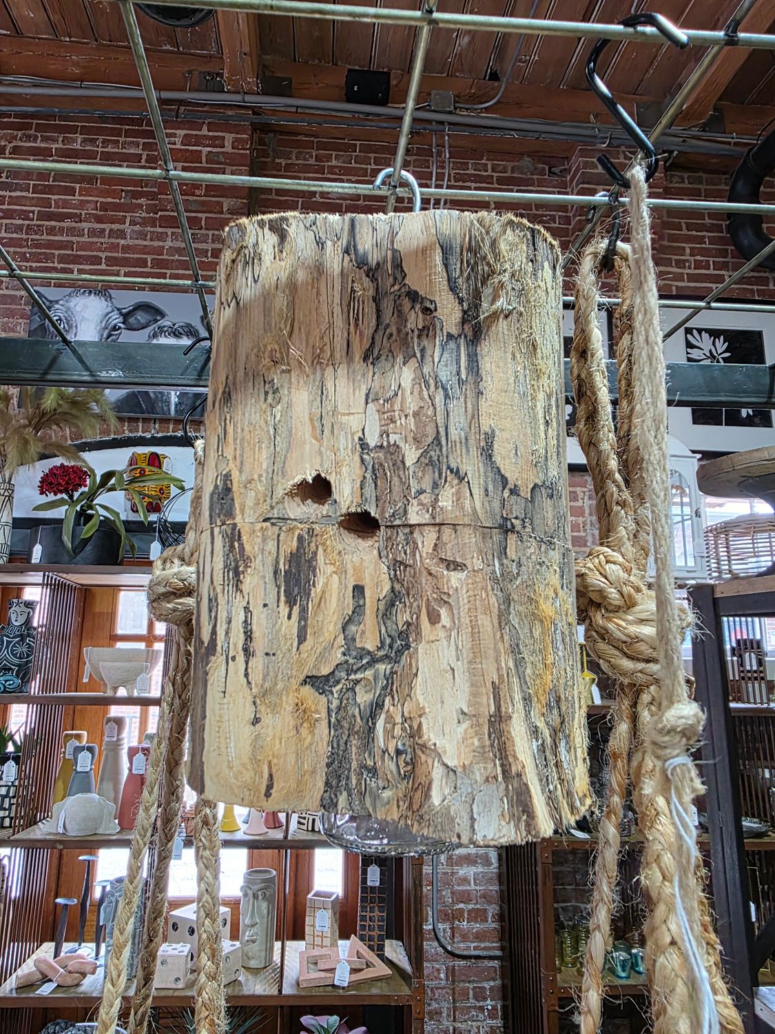 Carpenter Bee Trap