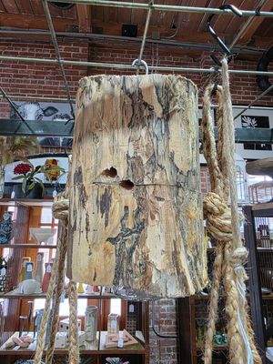 Carpenter Bee Trap