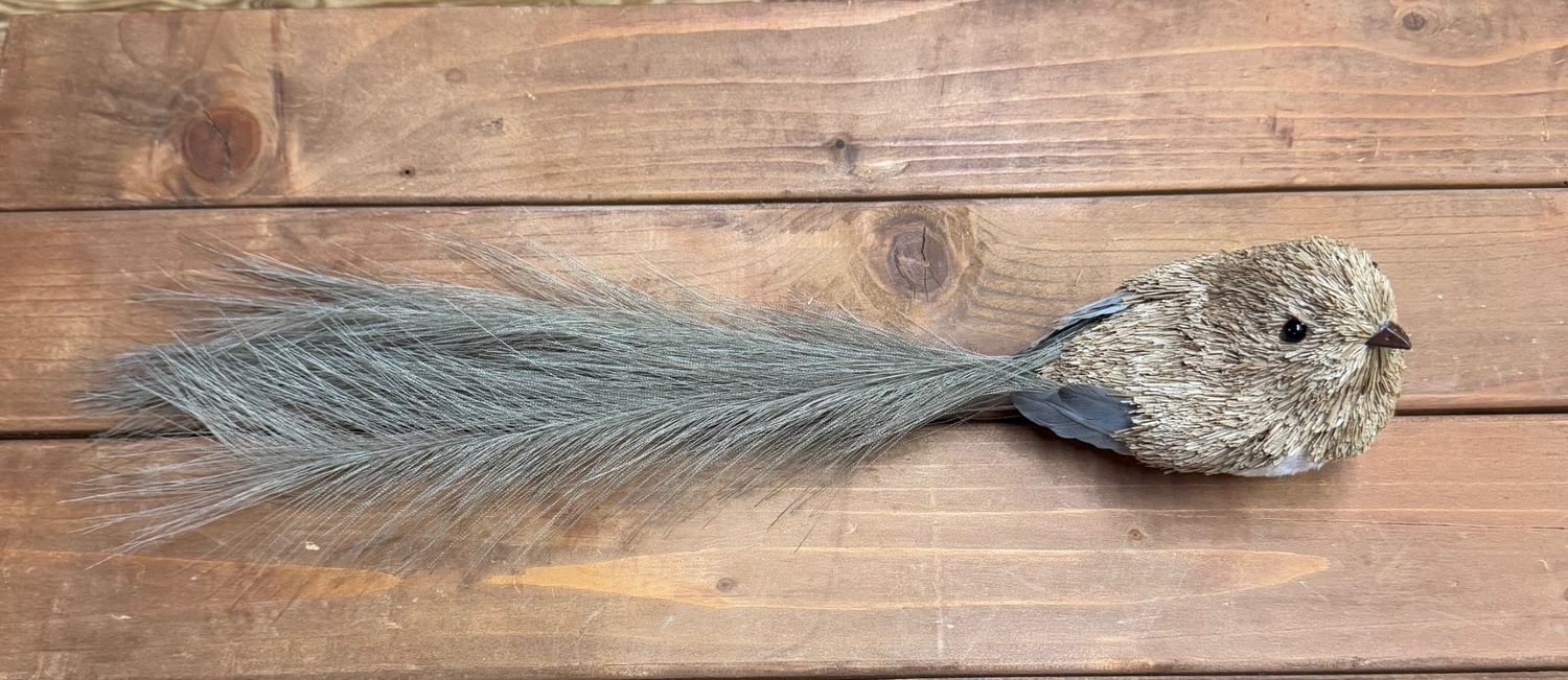 Lg Sisal/Thread Long Tail Bird Clip - Brown