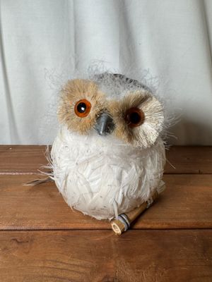 Owl on a Branch
