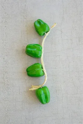 String of Artificial Green Bell Peppers