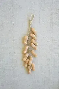String of Artificial Peanuts