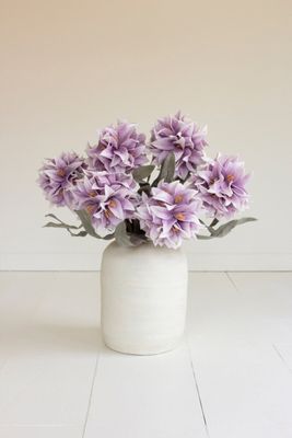 Botanica #2794 Botanica #2794