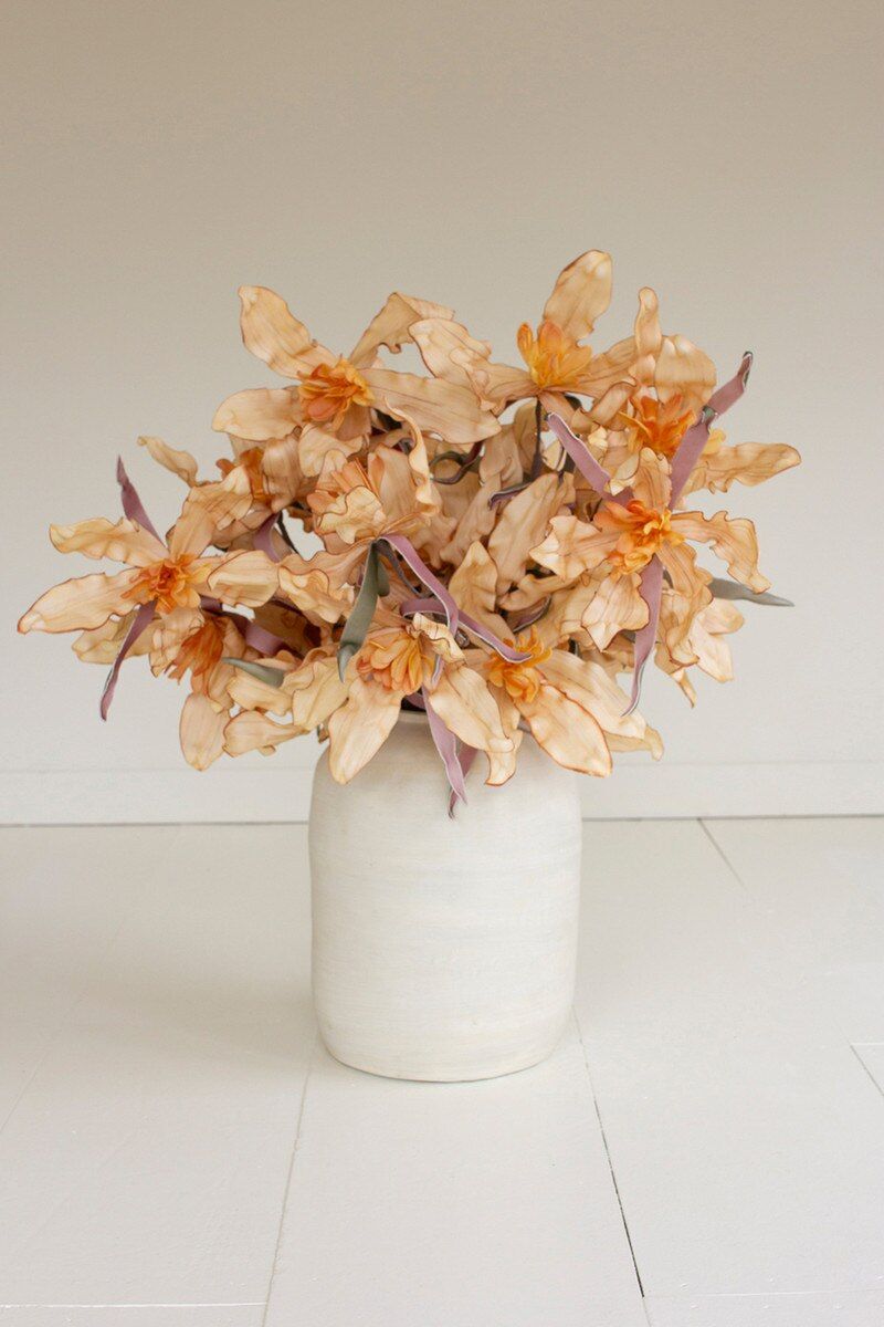 Botanica #3591 Botanica #3591