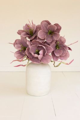 Botanica #2802 Botanica #2802