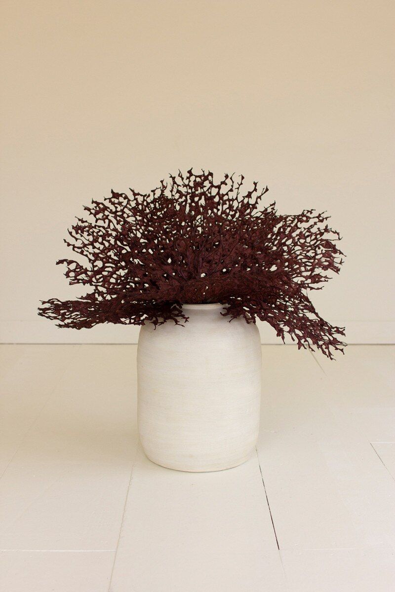 Botanica #2808 Botanica #2808