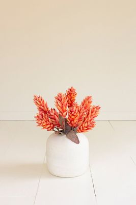 Botanica #3582 Botanica #3582