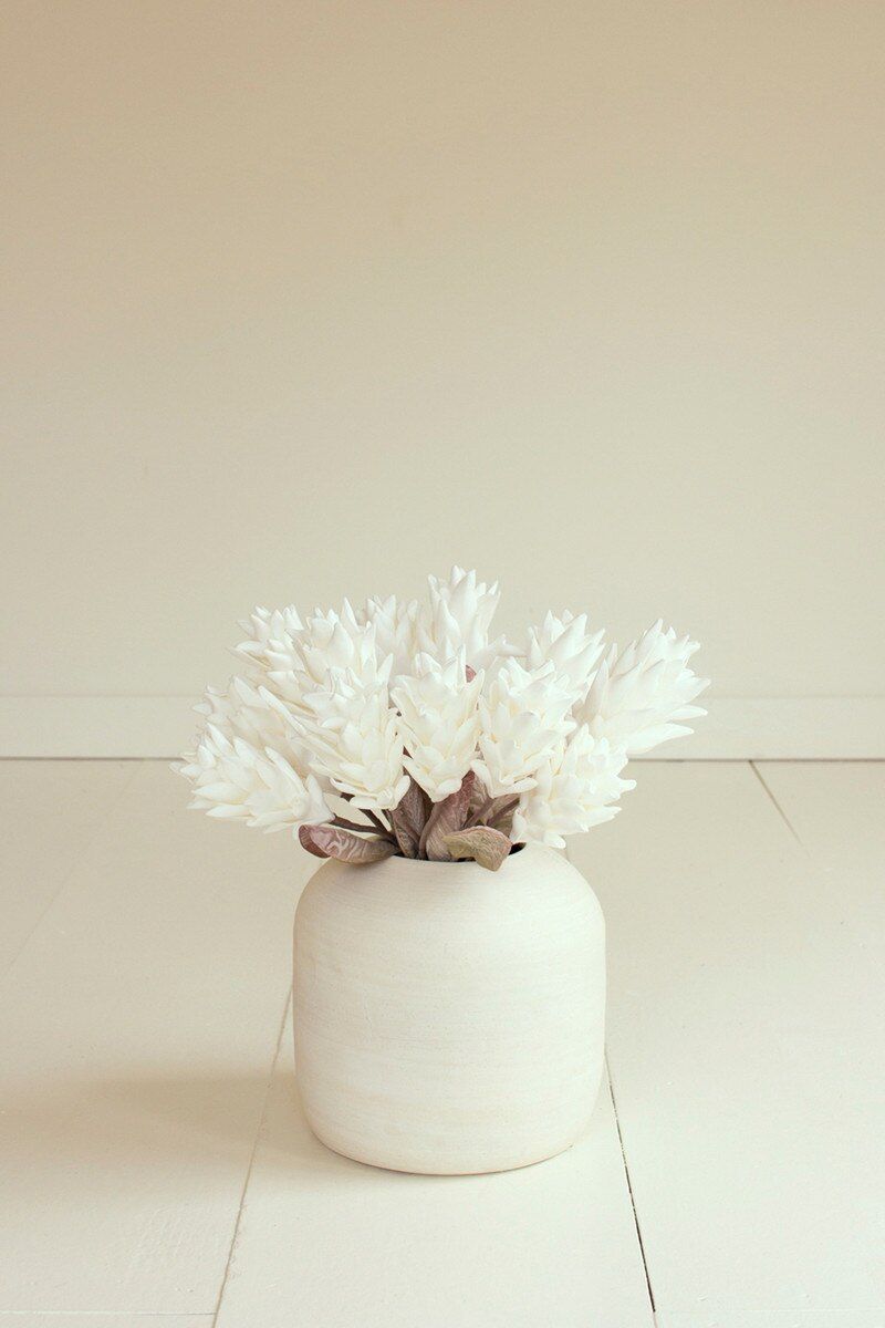 Botanica #3584 Botanica #3584