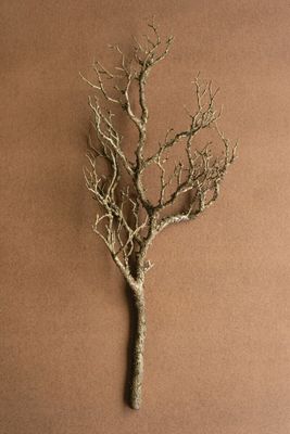 Artificial Dead Wood Branch Artificial Dead Wood Branch