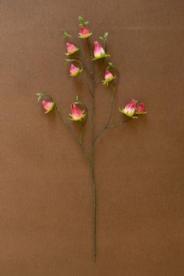 Artificial Roselle Spray Artificial Roselle Spray