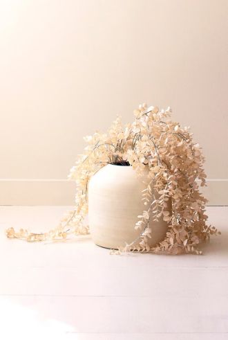 Botanica #2742 Botanica #2742