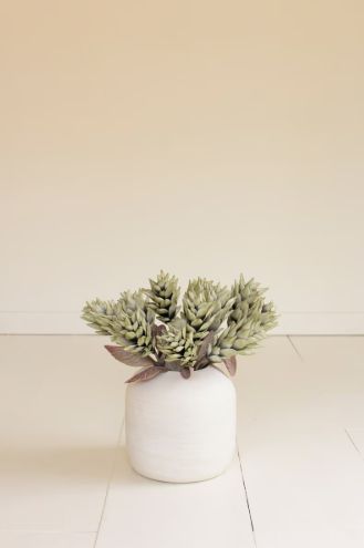 Botanica #3580 Botanica #3580