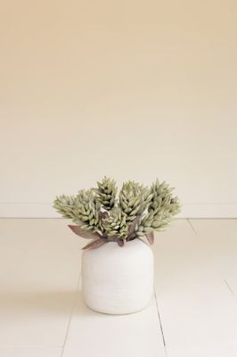 Botanica #3580 Botanica #3580