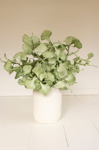 Botanica #3593 Botanica #3593