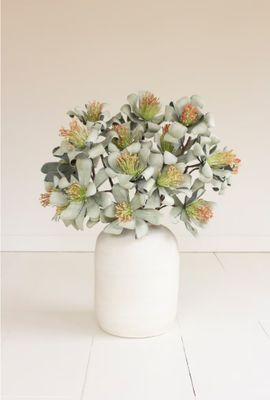 Botanica #3596 Botanica #3596