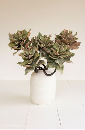 Botanica #2809 Botanica #2809