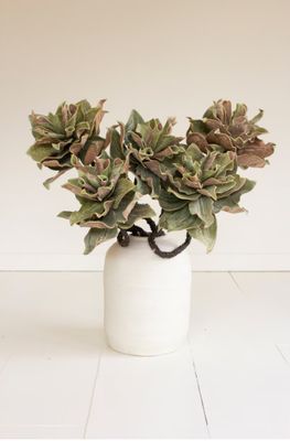 Botanica #2809 Botanica #2809