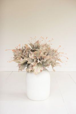 Botanica #2848 Botanica #2848