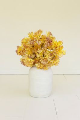 Botanica #3590 Botanica #3590